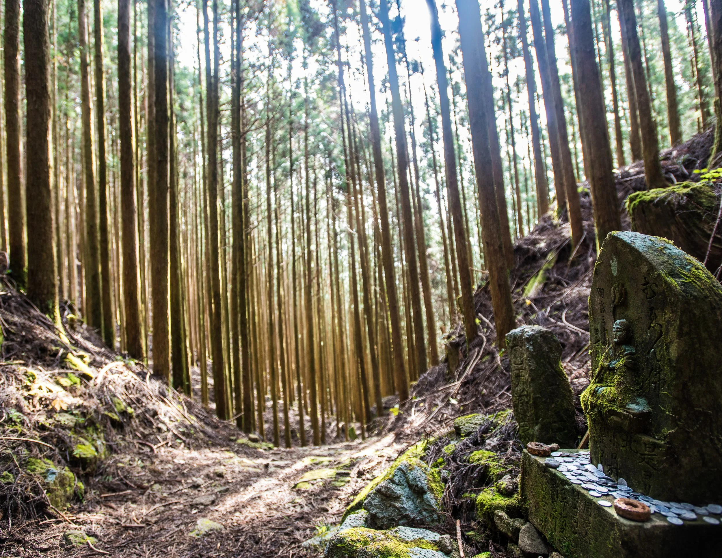 Calm at the top of the mountain