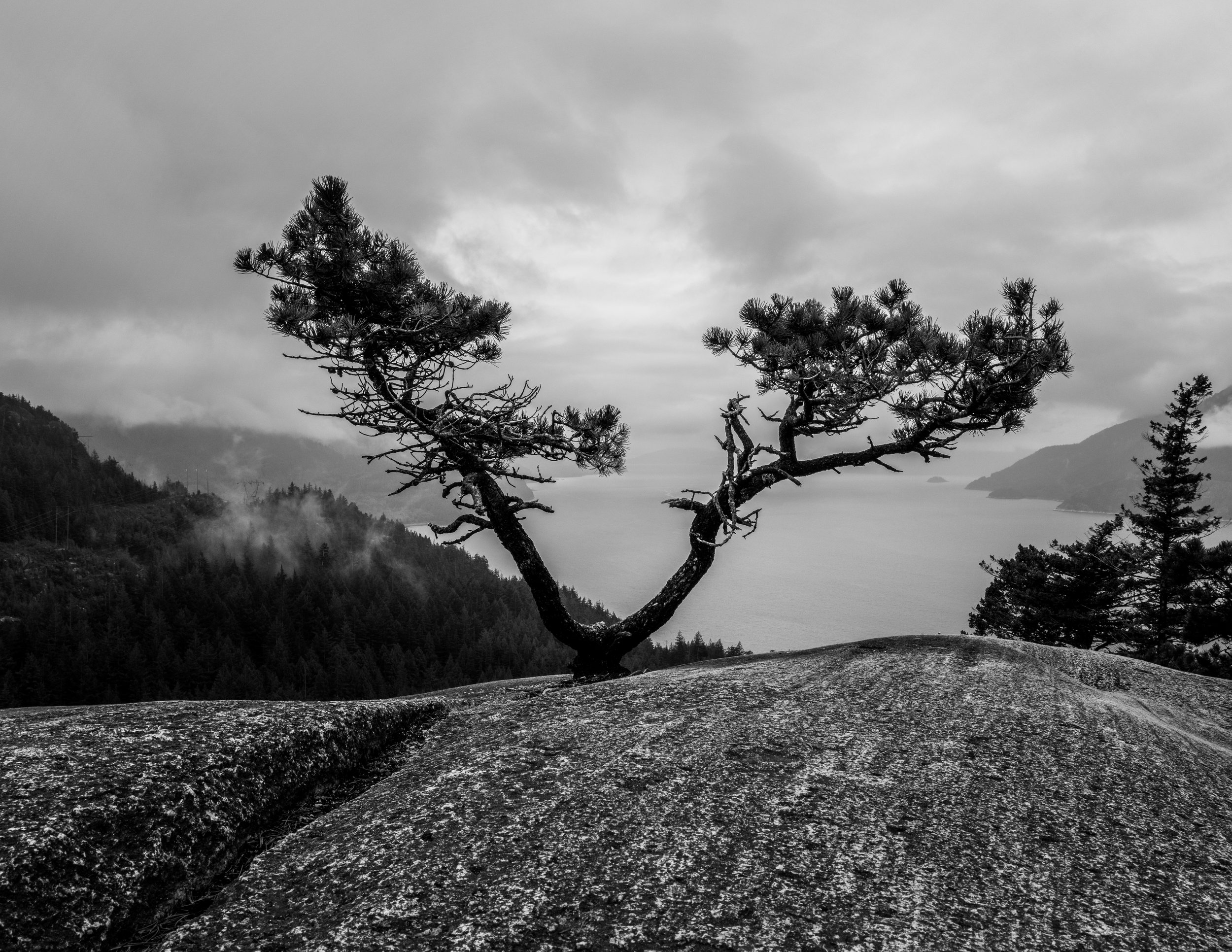 Overlooking Howe Sound