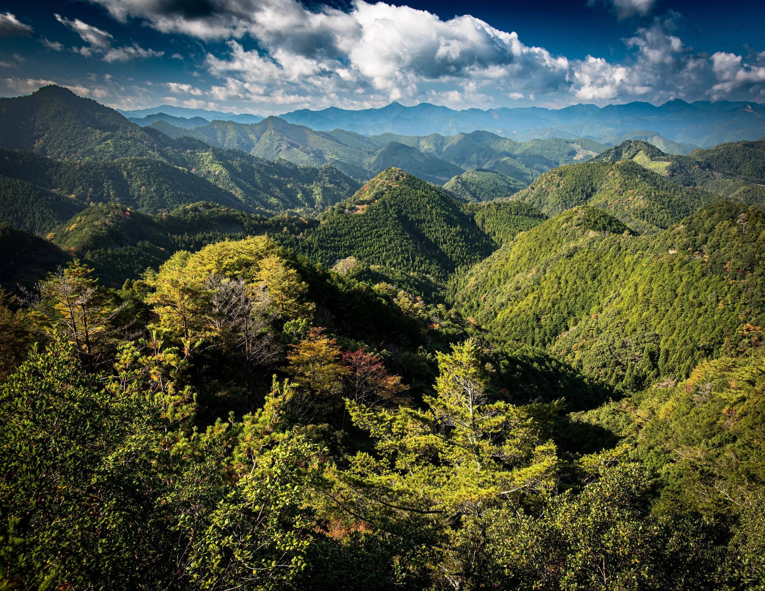 Overlooking the Kii Peninsula