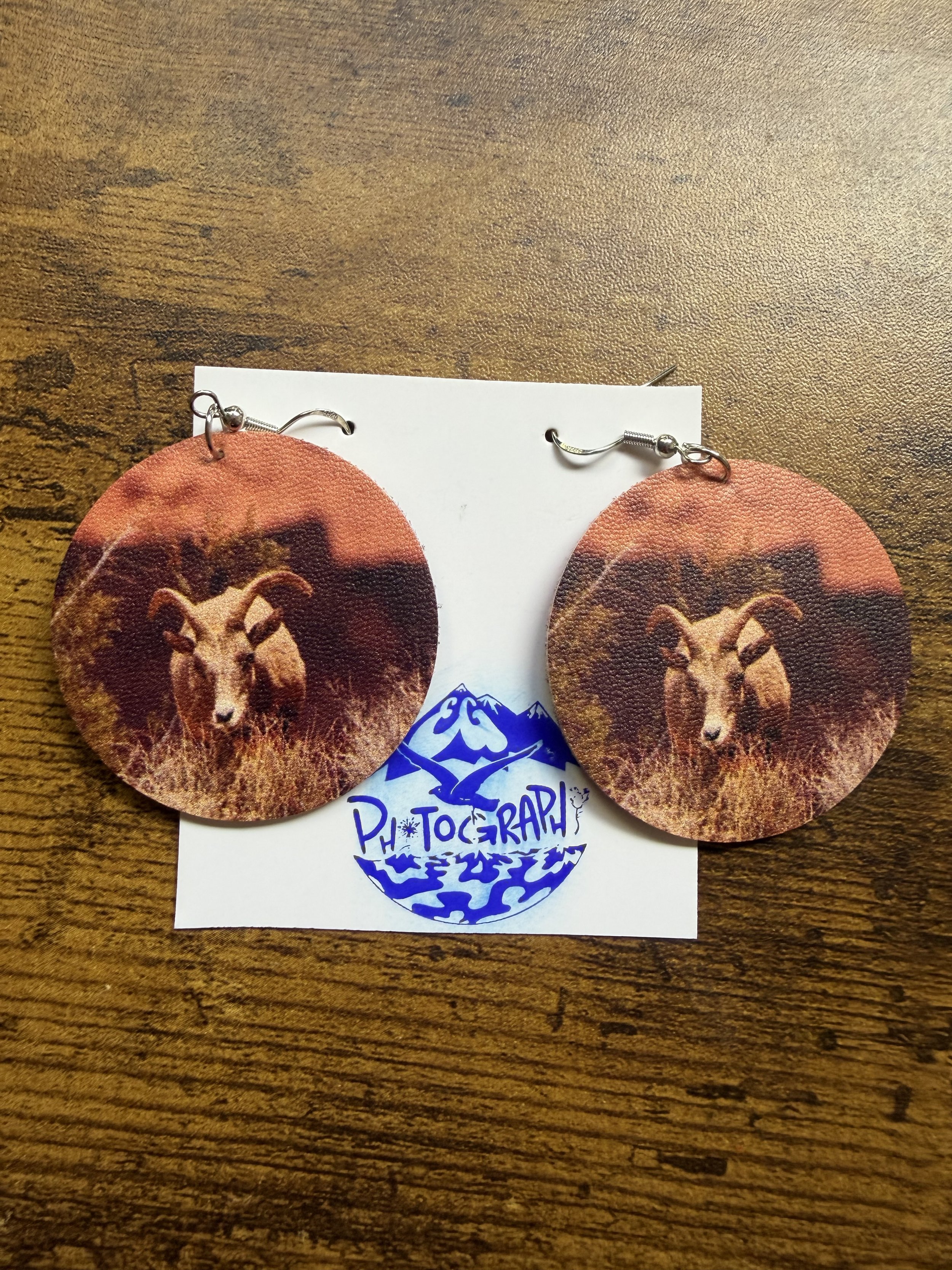 Female Bighorn Sheep Earrings