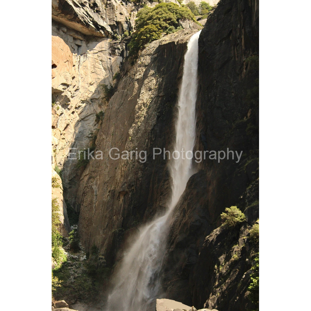 Lower Yosemite Falls