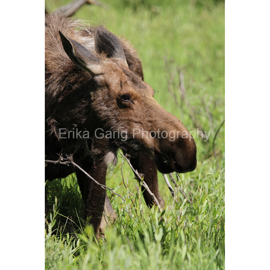 Mom is Always Listening