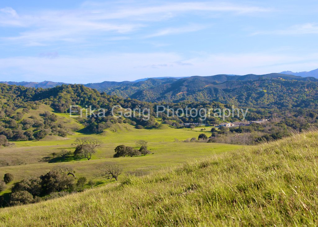 Fort Ord National Monument Grasslands