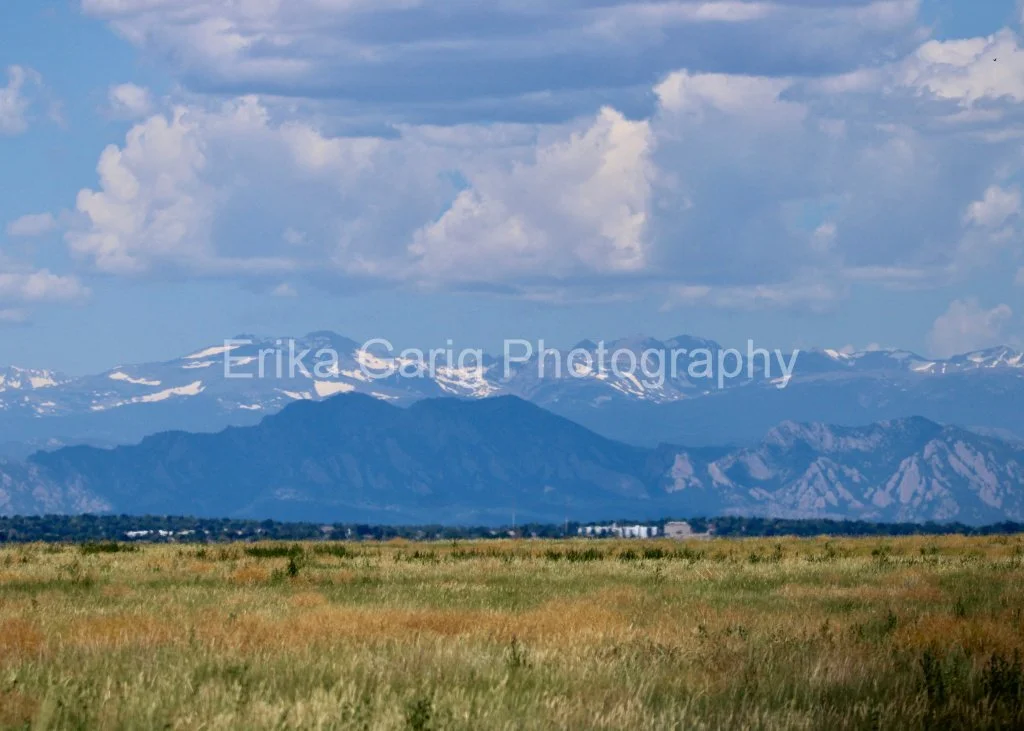 Rocky Mountain Blues