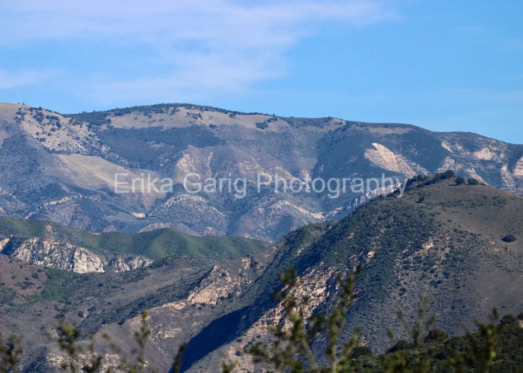 Los Padres National Forest