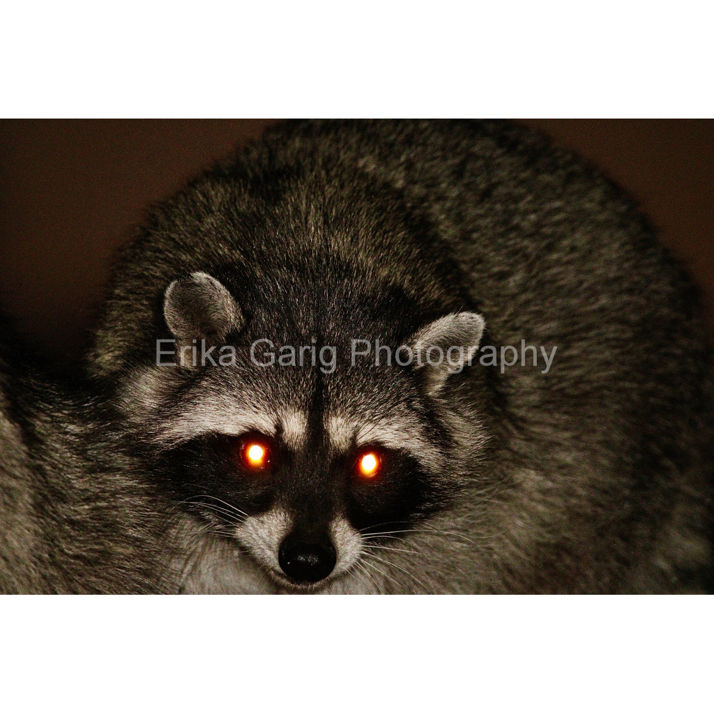 Look Into the Darkness