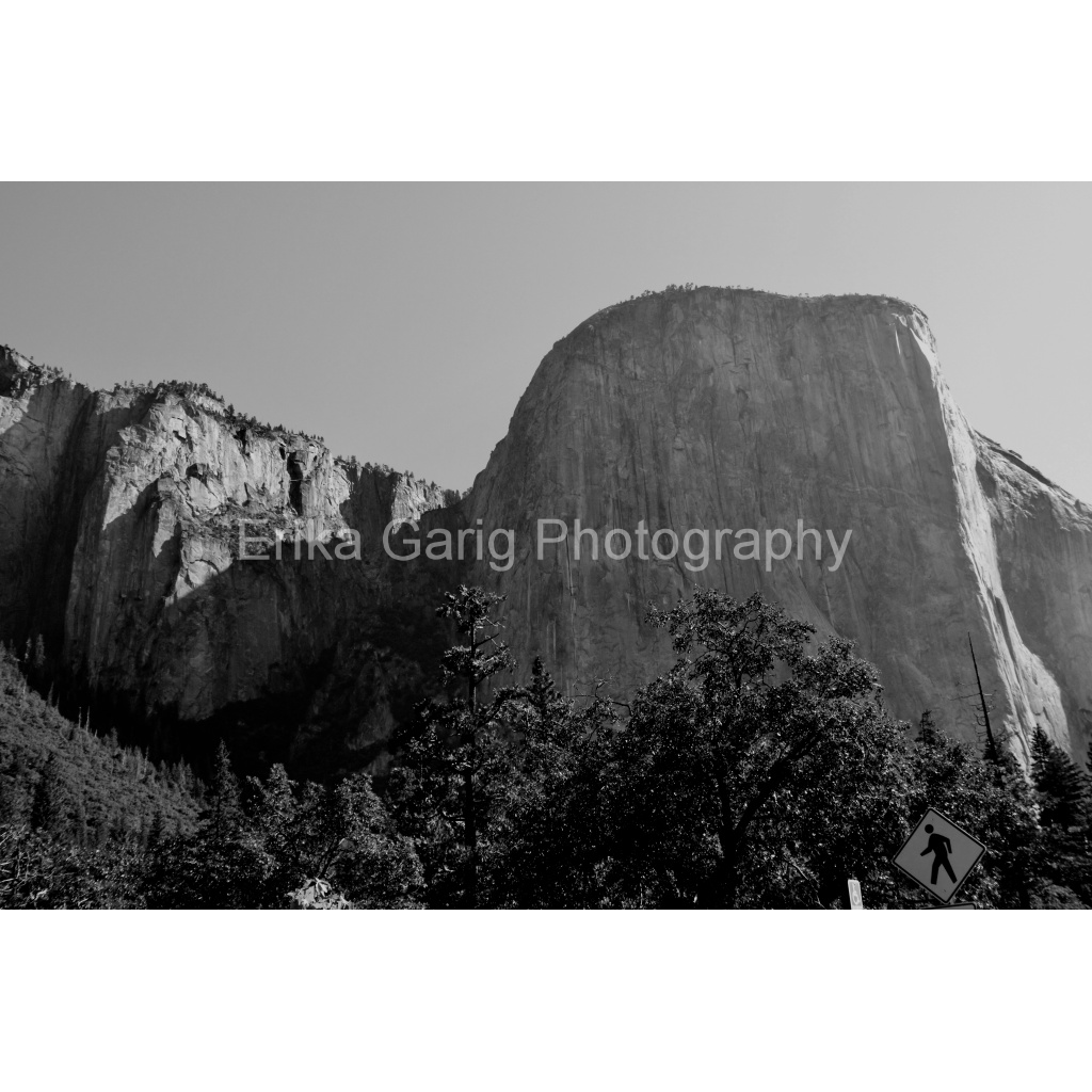 Classic Yosemite