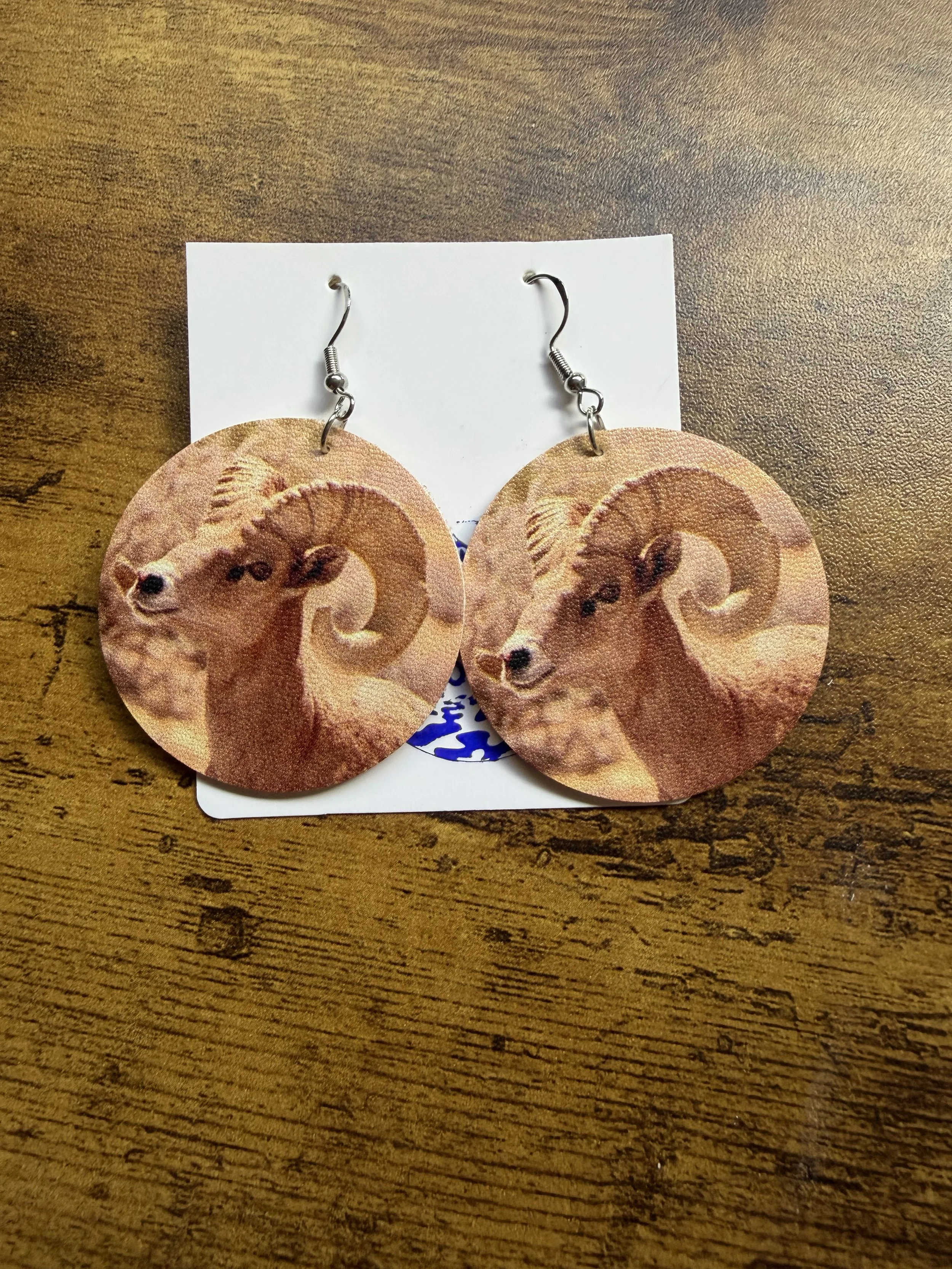Male_Bighorn_Sheep2.jpeg