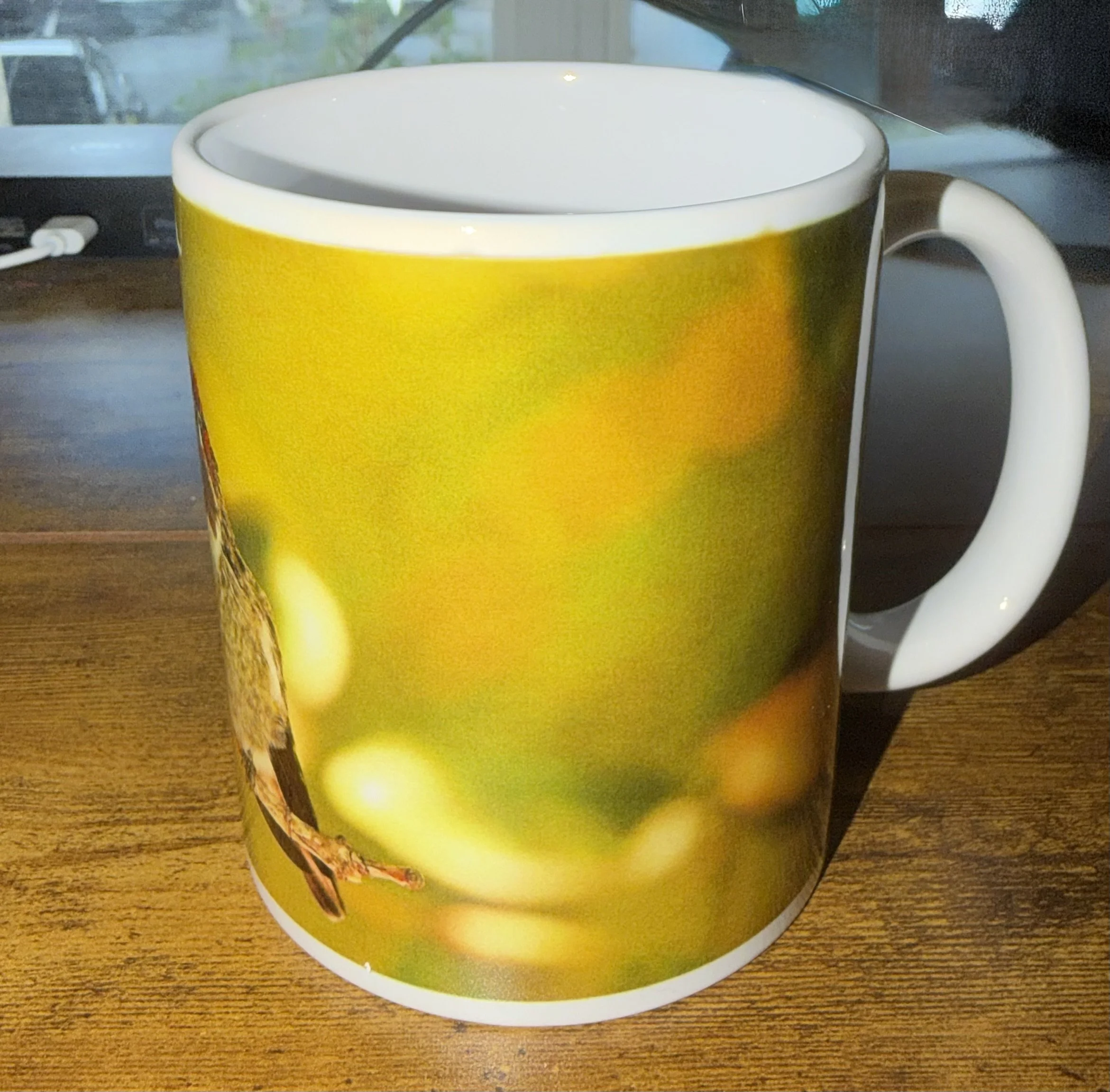 IMG_9135.jpeg