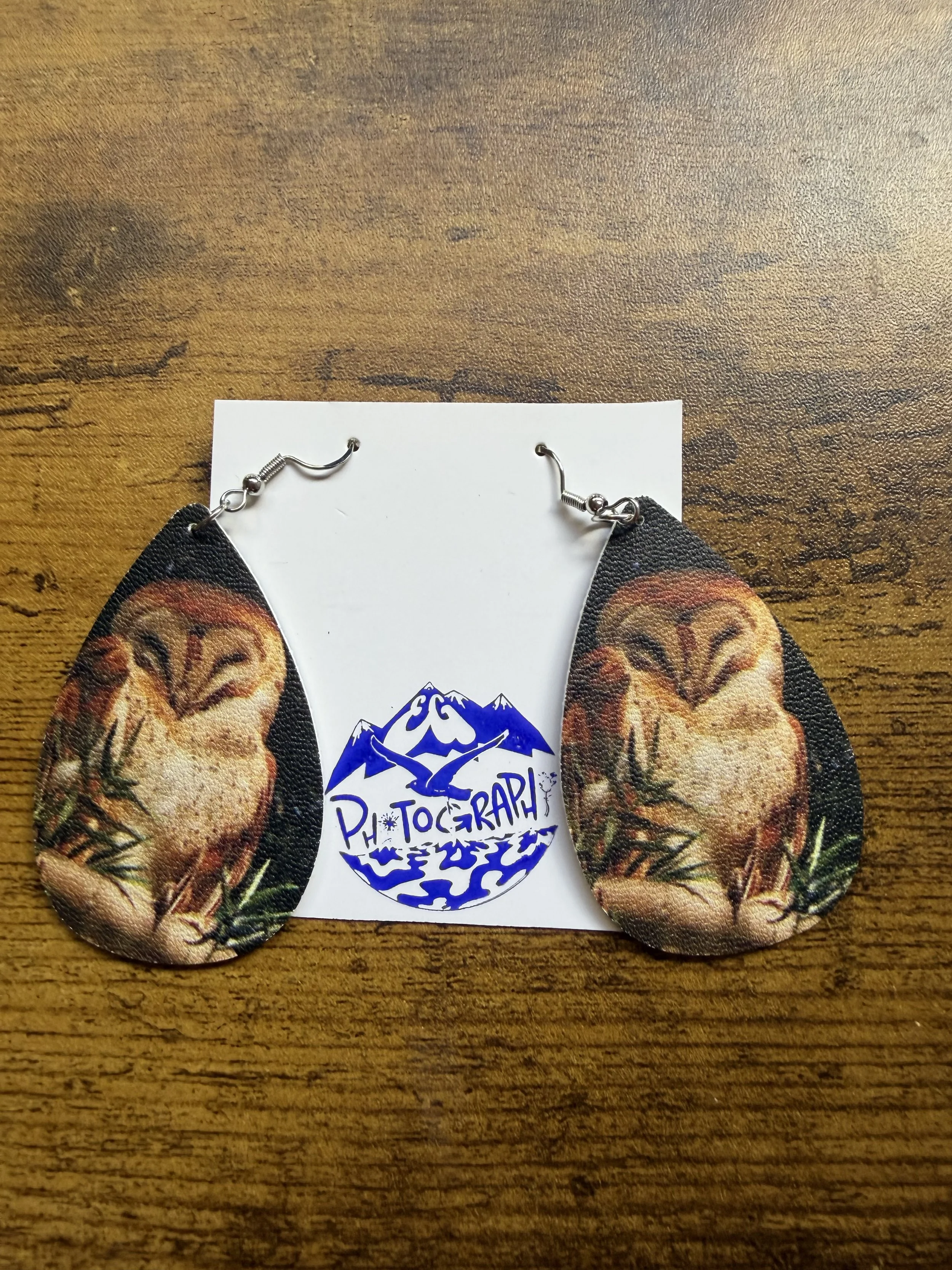 Barn_Owls2.jpeg