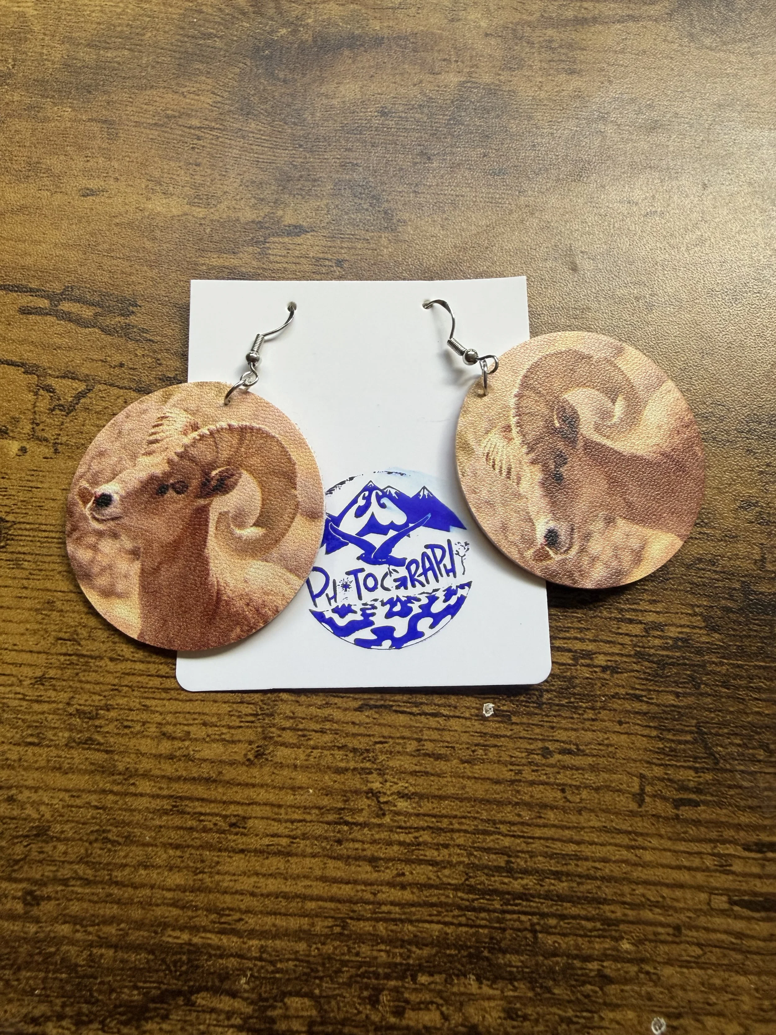 Male_Bighorn_Sheep3.jpeg