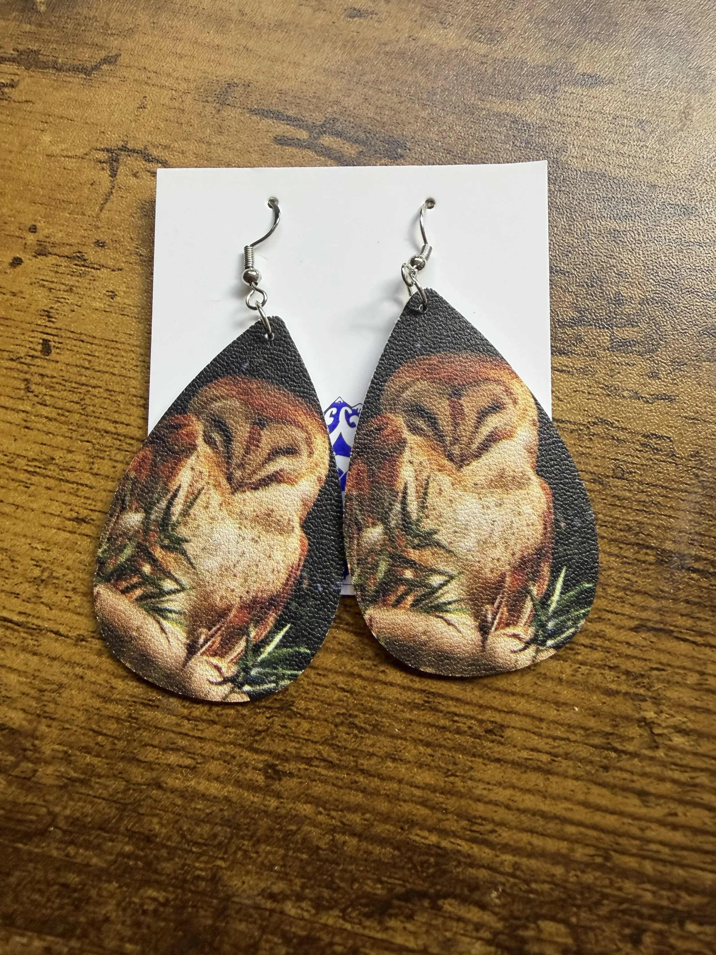 Barn_Owls3.jpeg