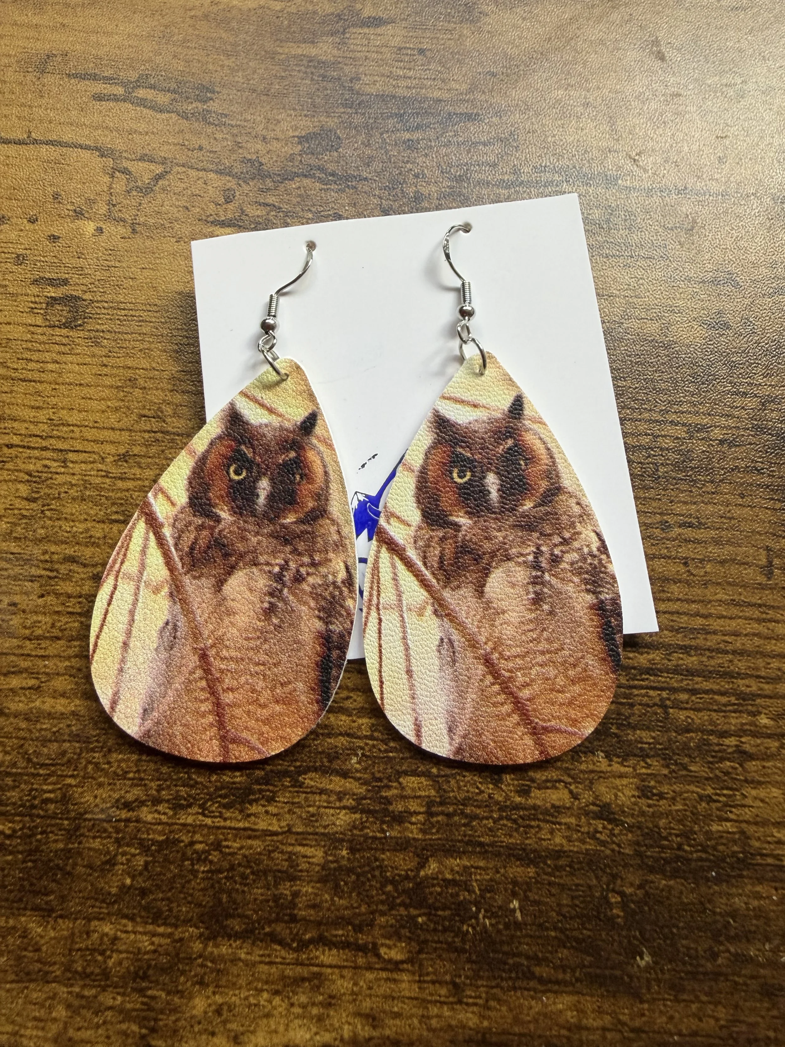 Squinting: Long-Eared Owlet Earrings