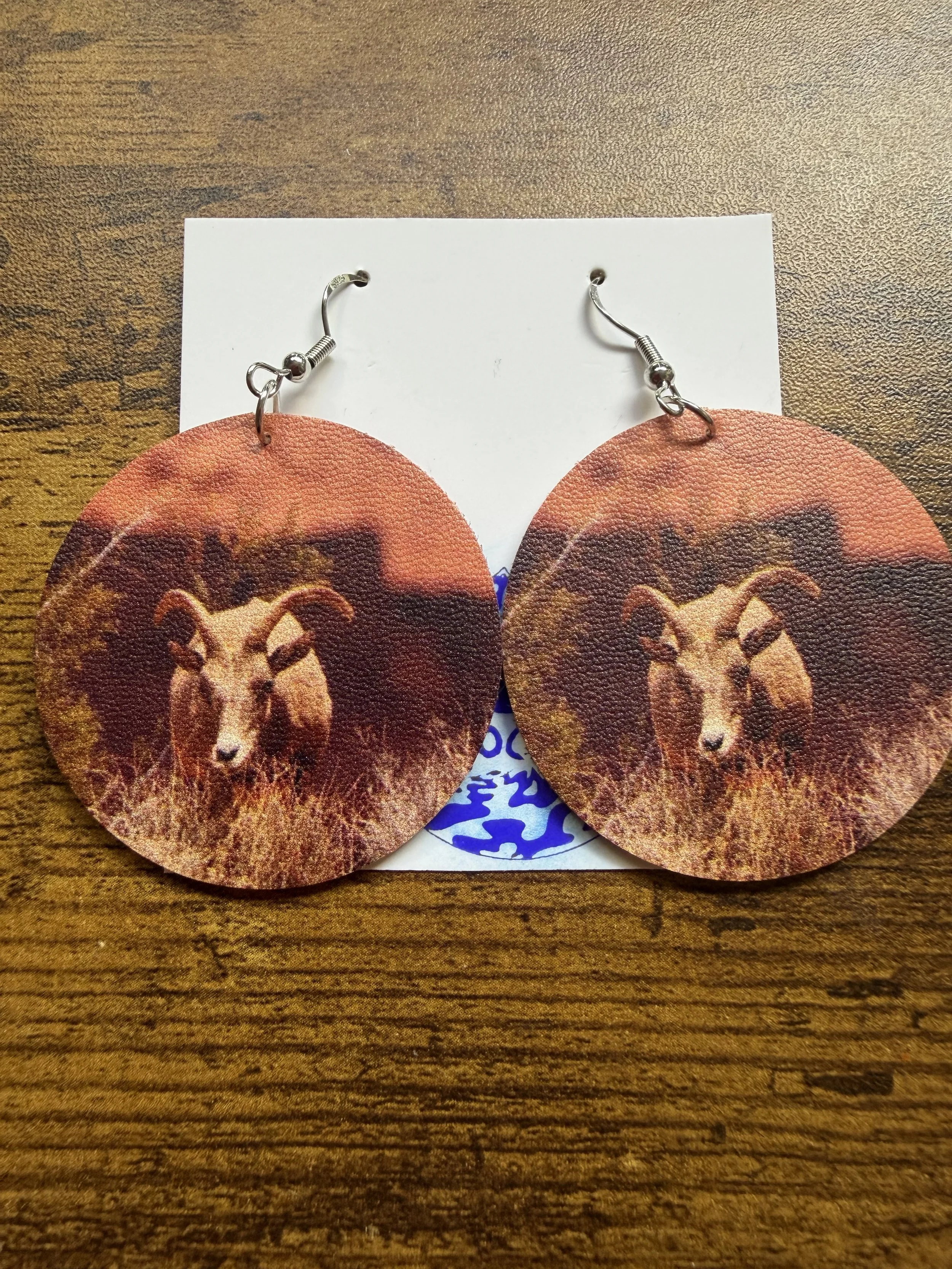 Female_BighornSheep3.jpeg