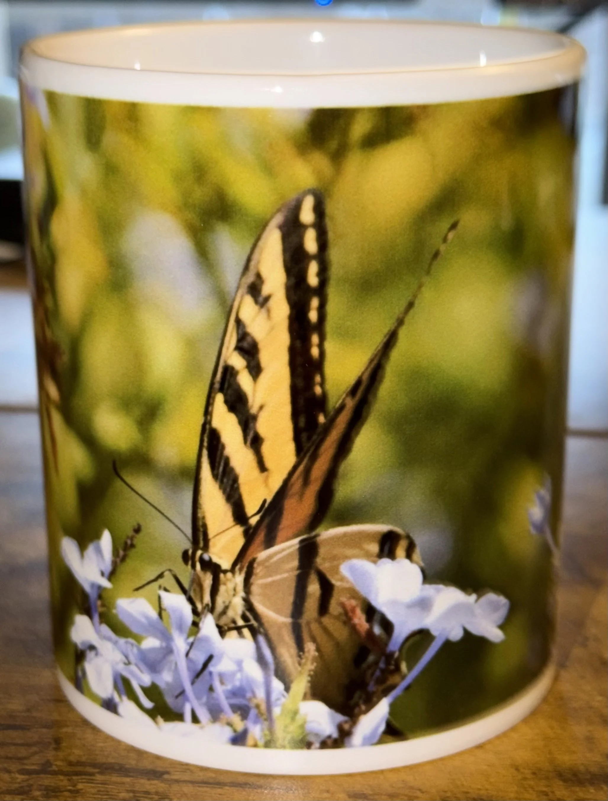 Western Tiger Swallowtail Butterfly Mug