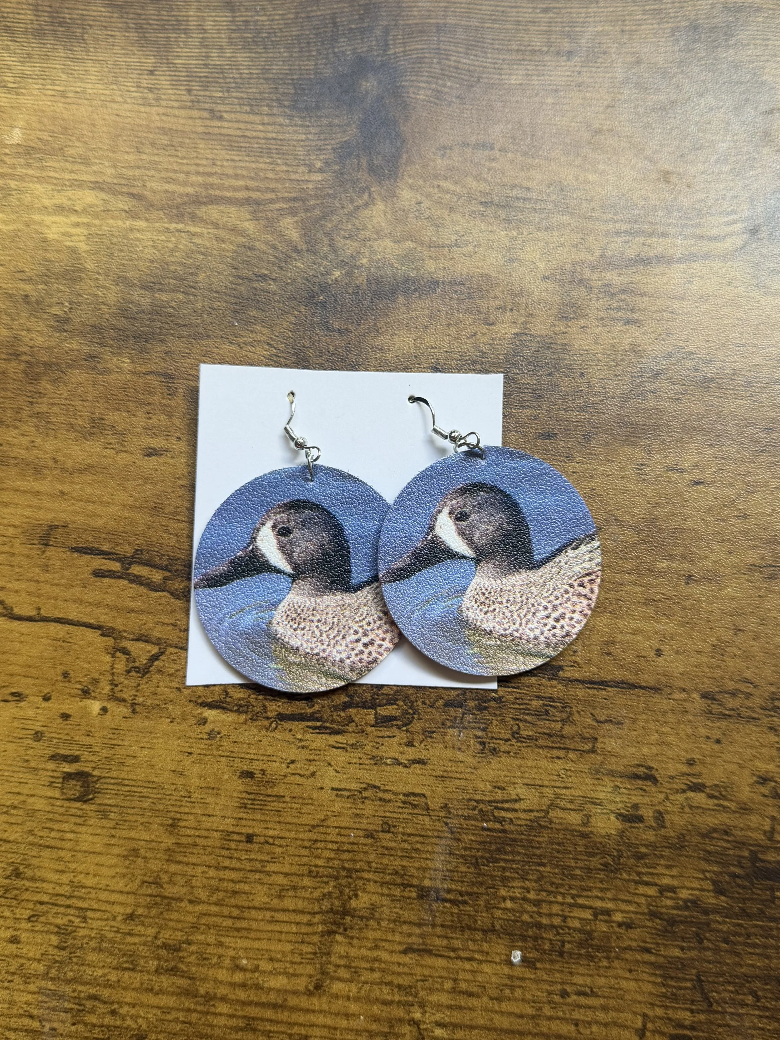 Blue Winged Teal Earrings