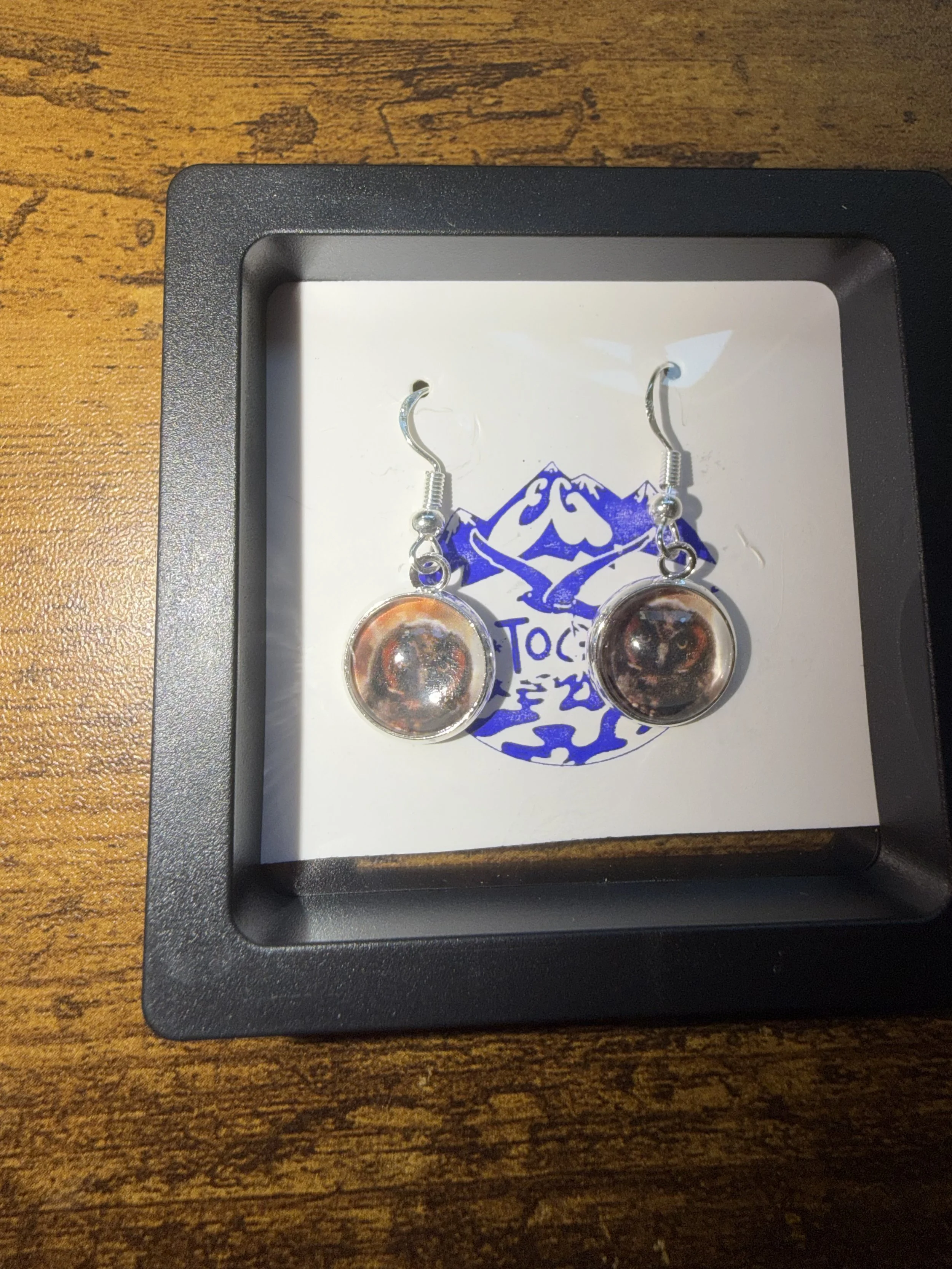 Dainty_You_Again_Owlet1.jpeg