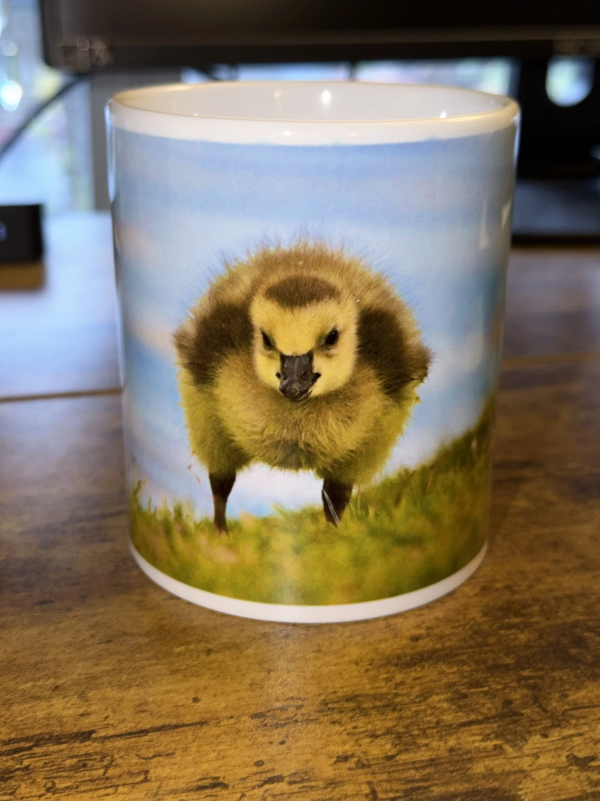 Gosling Front and Center Mug