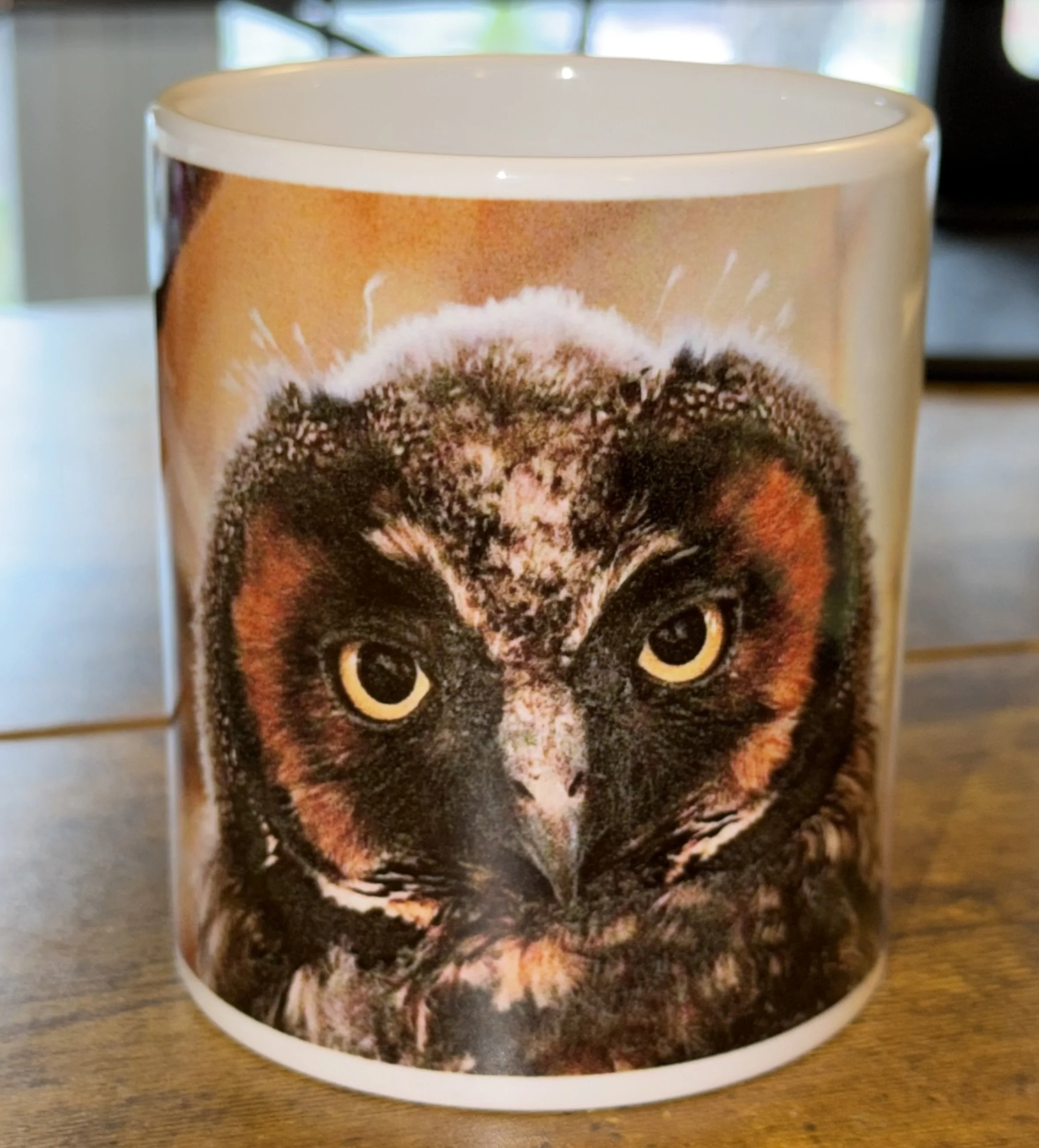 Long-Eared Owlet: You Again Mug