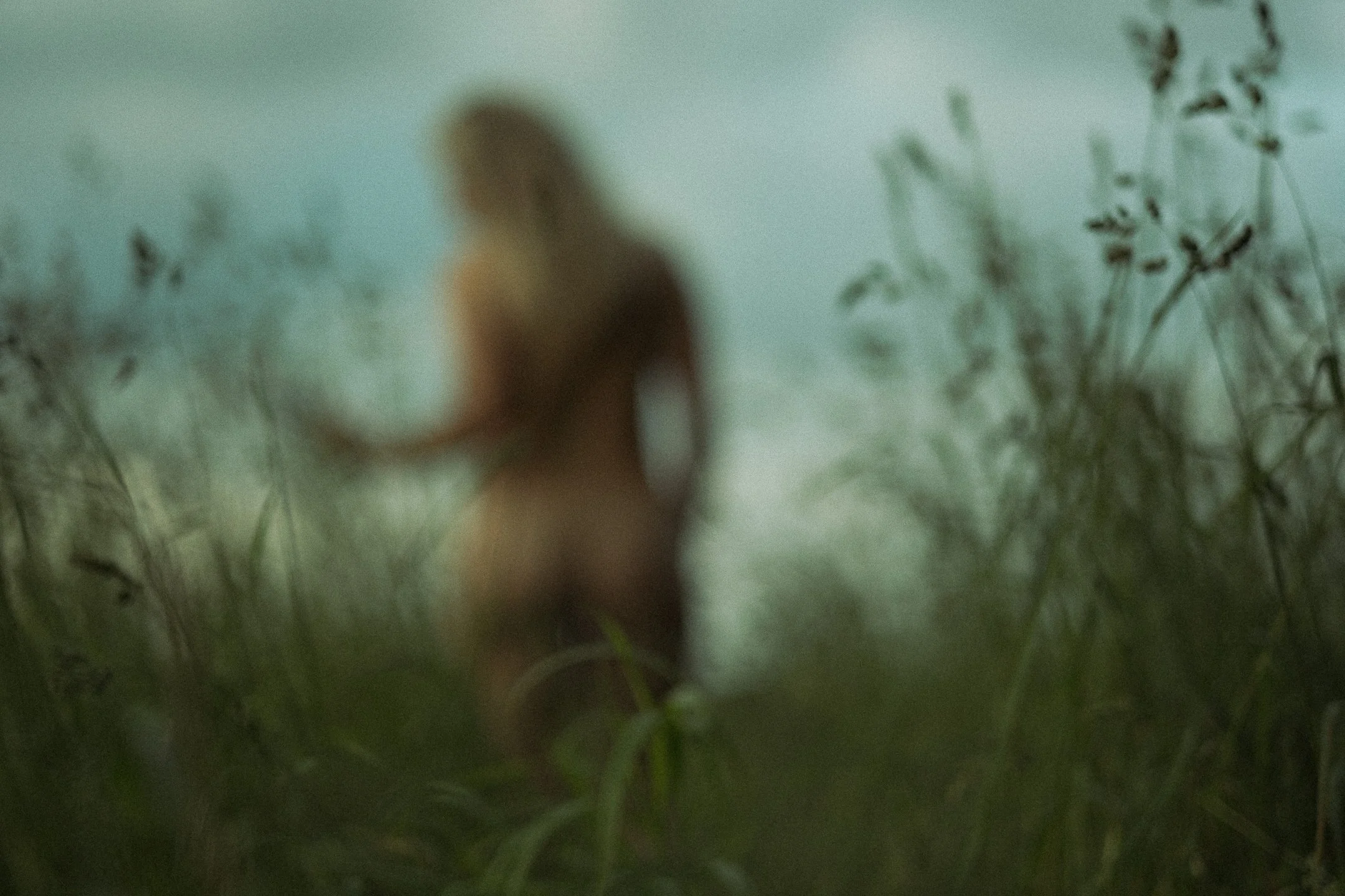 Blurred image of a naked woman standing amidst tall grass.
