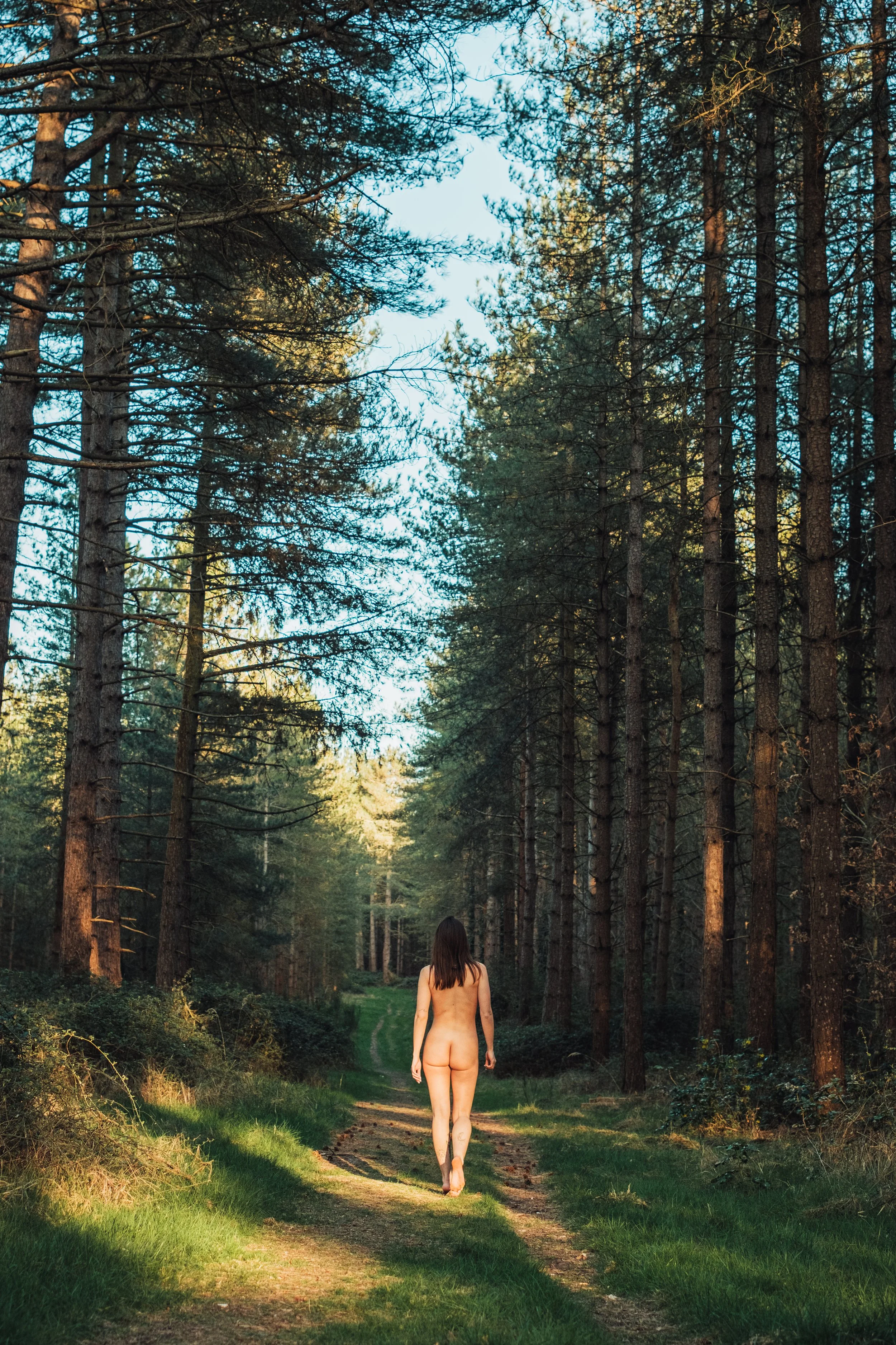 A woman walking away nude on a forest trail surrounded by tall trees with green foliage and a clear blue sky.