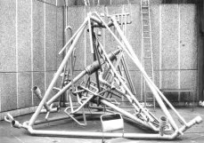 The Survival of the Unfittest