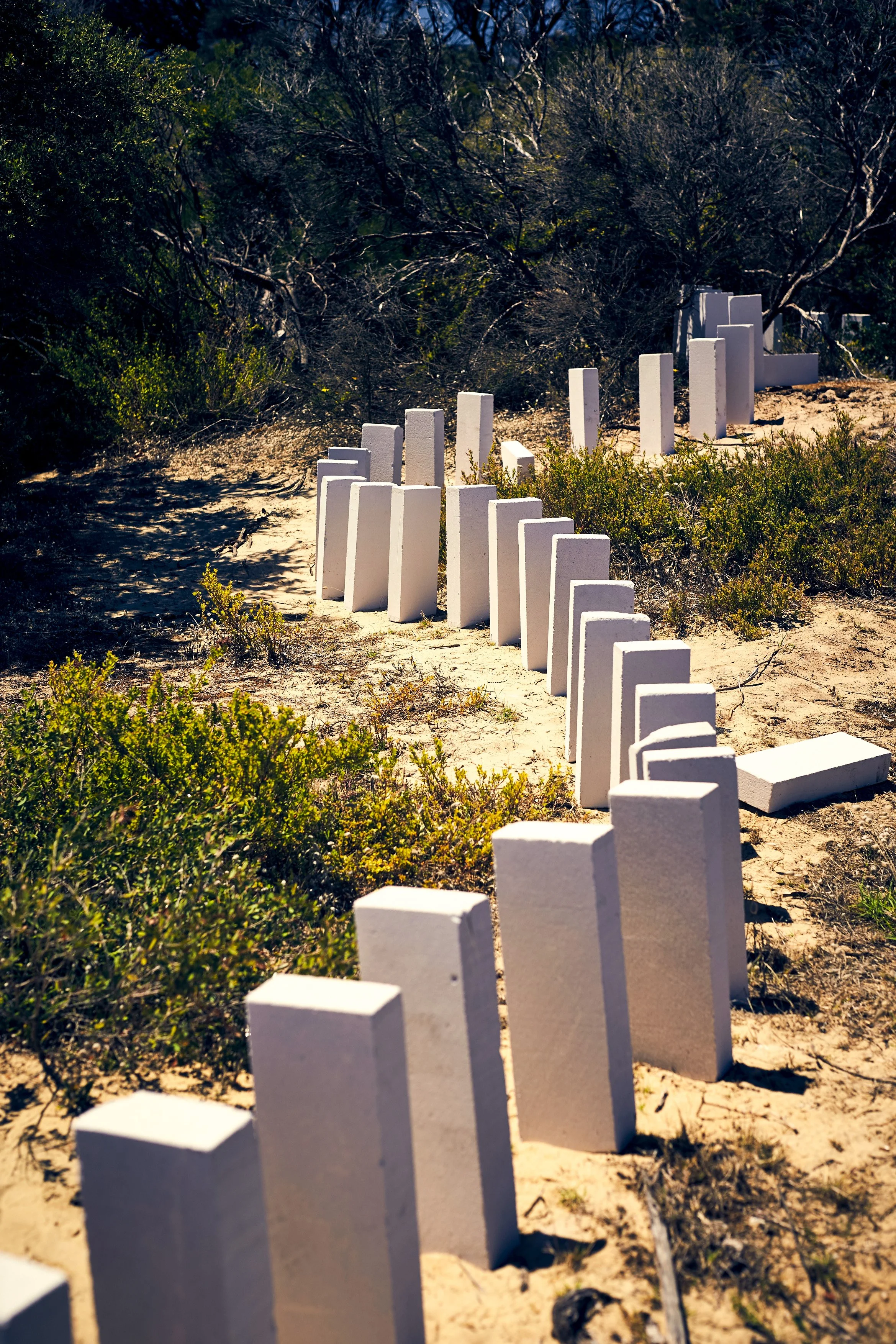 p35 14 2016_02_01ACMCard1_0312 profile.jpg