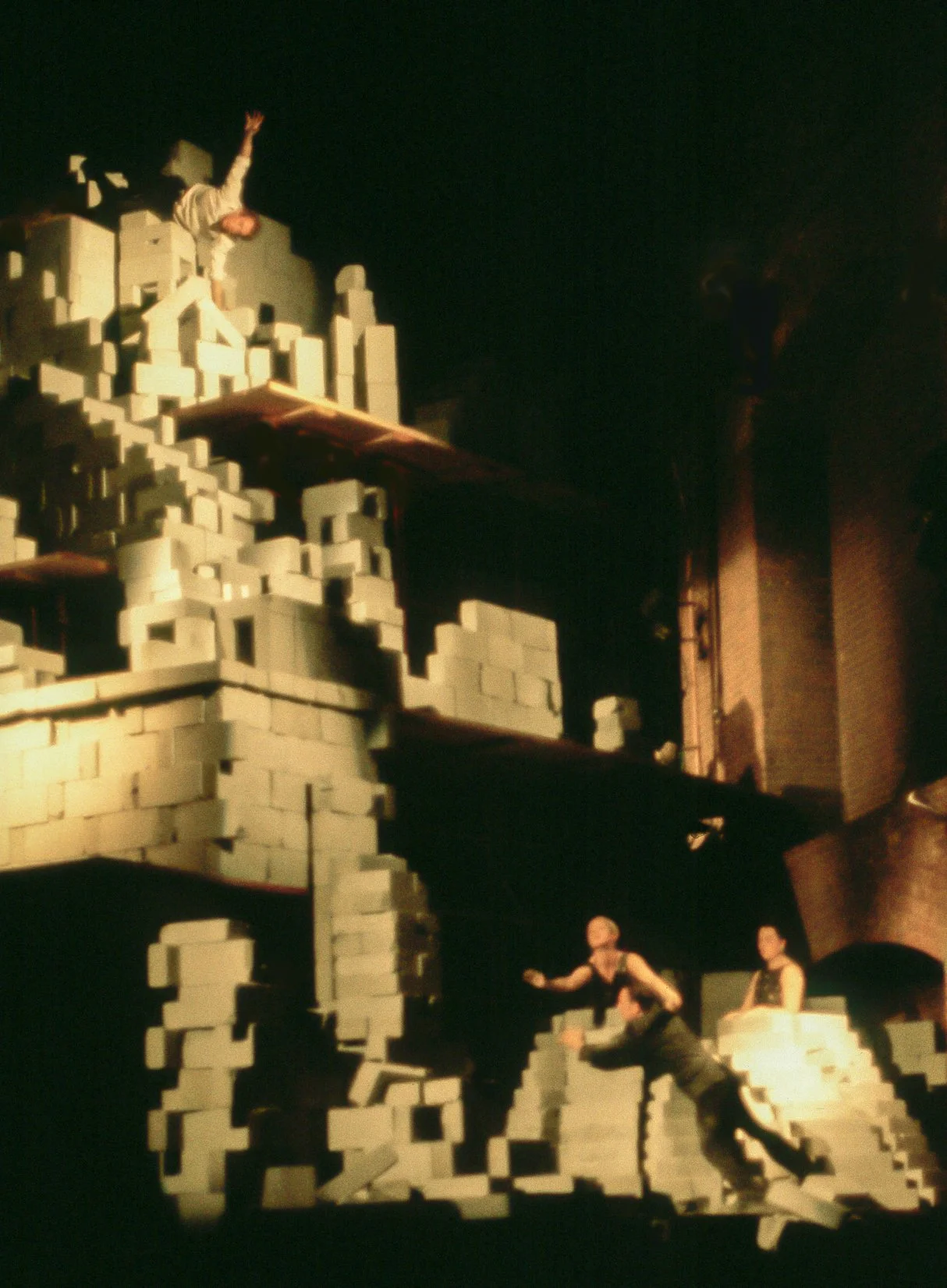 p14 PN 03 piranesi in new york 01 book (dam) c cropped no scaff PNY3j.jpg