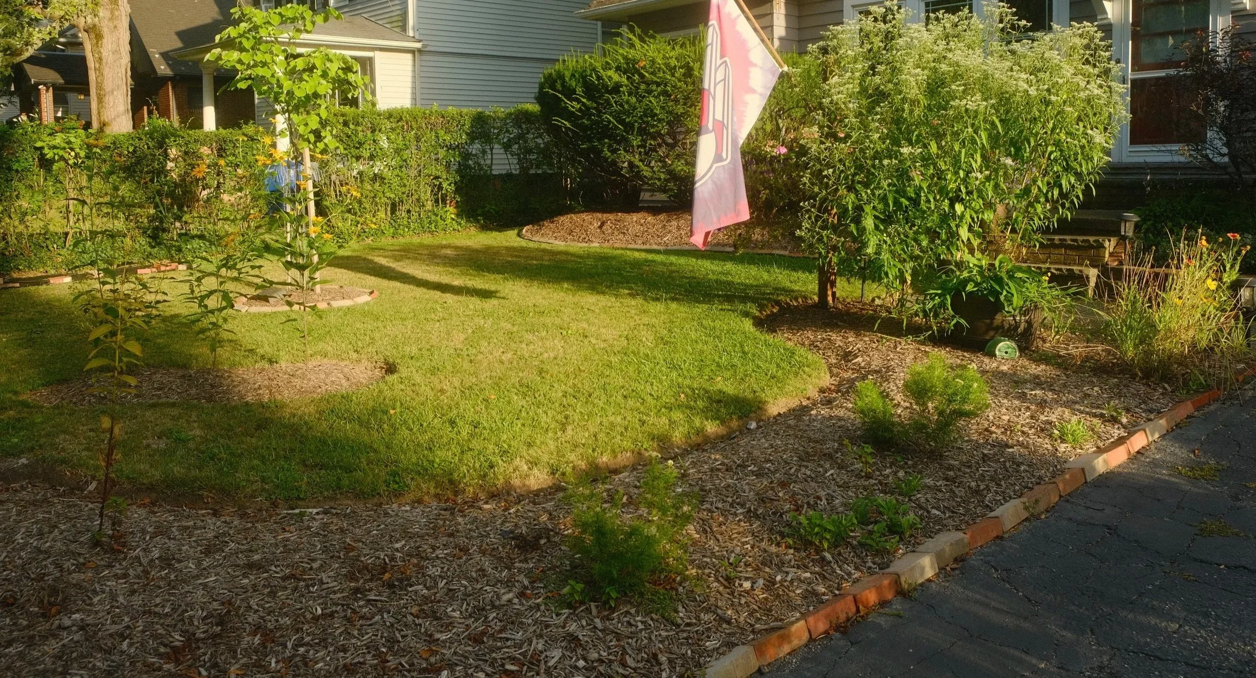 A well-maintained front yard with green grass, small trees, and native flowering plants, bordered by mulch and brick edging, with a flag on a pole and houses in the background.