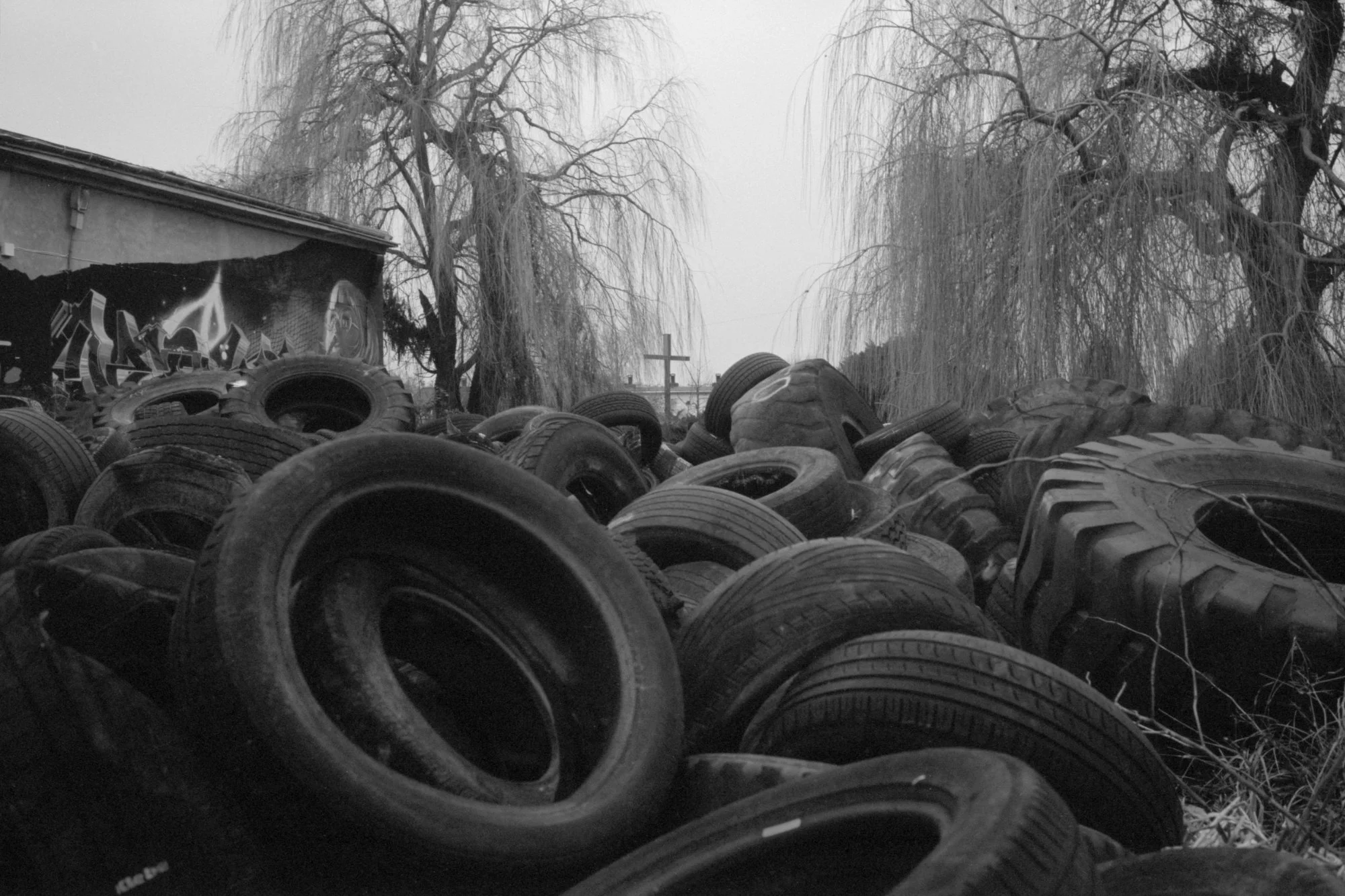 A large pile of discarded tires outdoors, with leafless trees and a building with graffiti in the background.