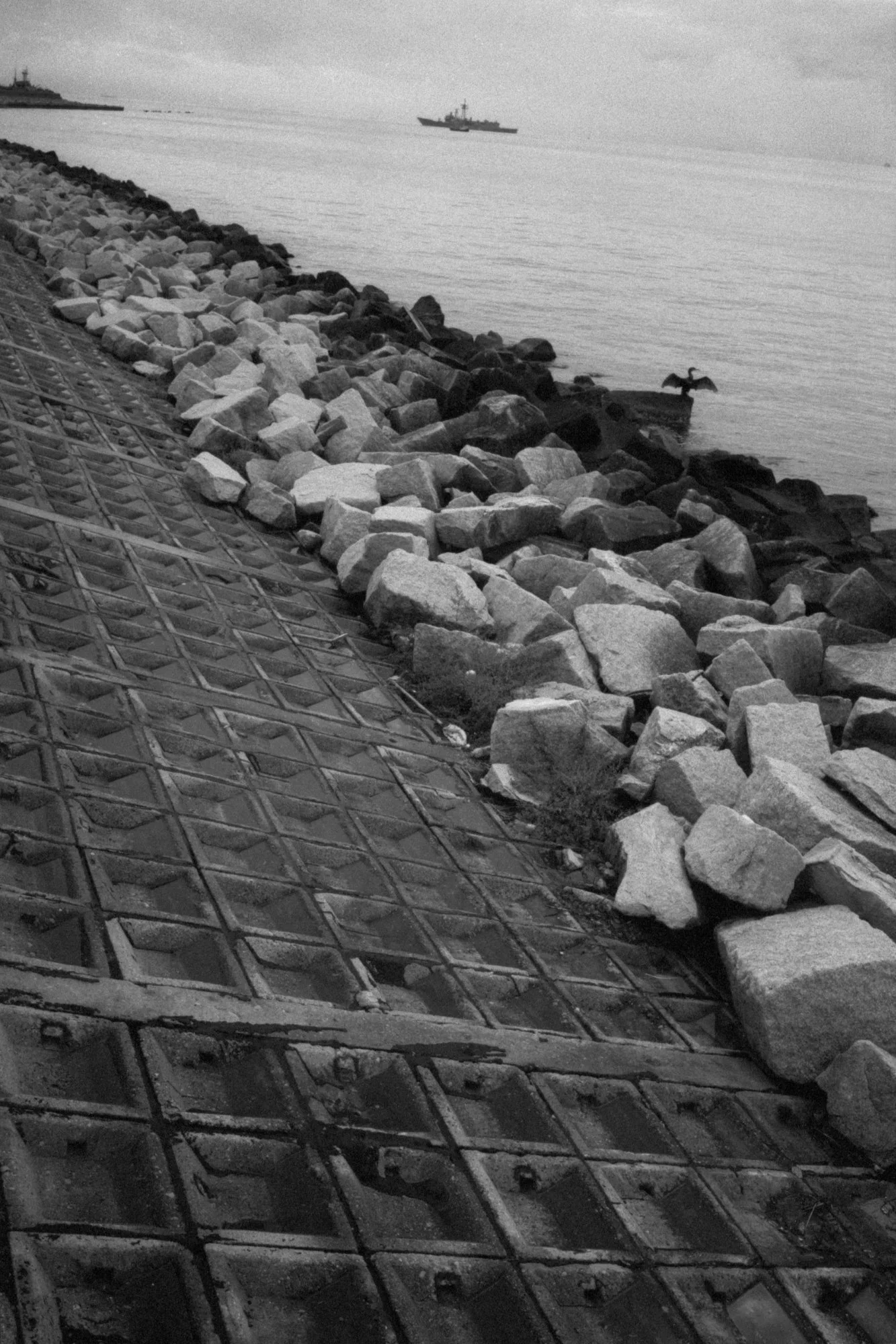 Black and white photo of a rocky shoreline with a metal grid sea wall, rocks, and calm water with a boat in the distance, and a bird perched on a rock near the water.
