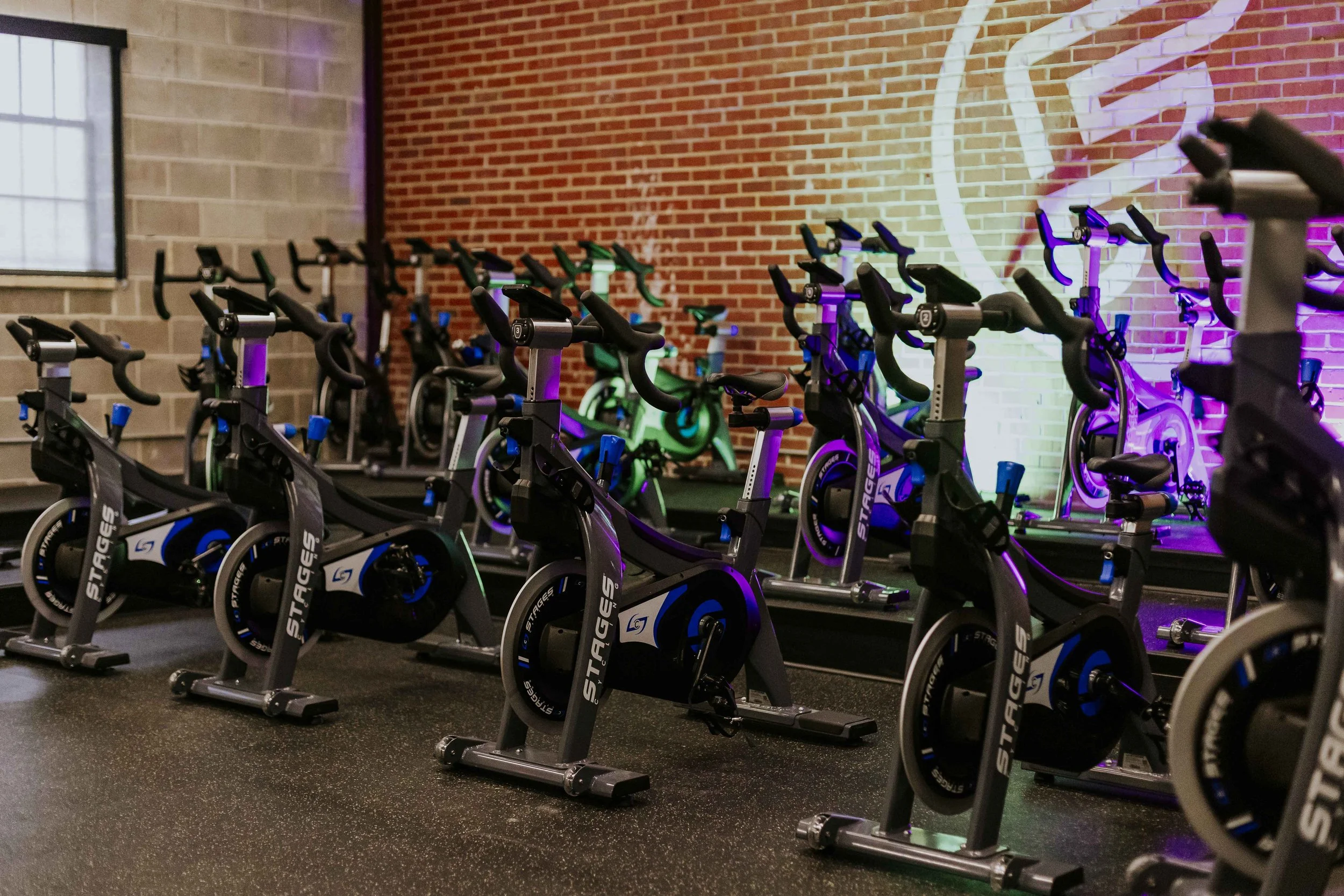 Multiple stationary exercise bikes arranged in rows inside a gym with a brick wall and colorful lighting.