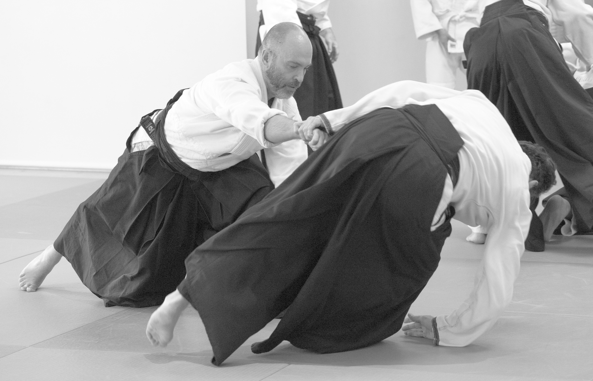 Explore our Adults classes