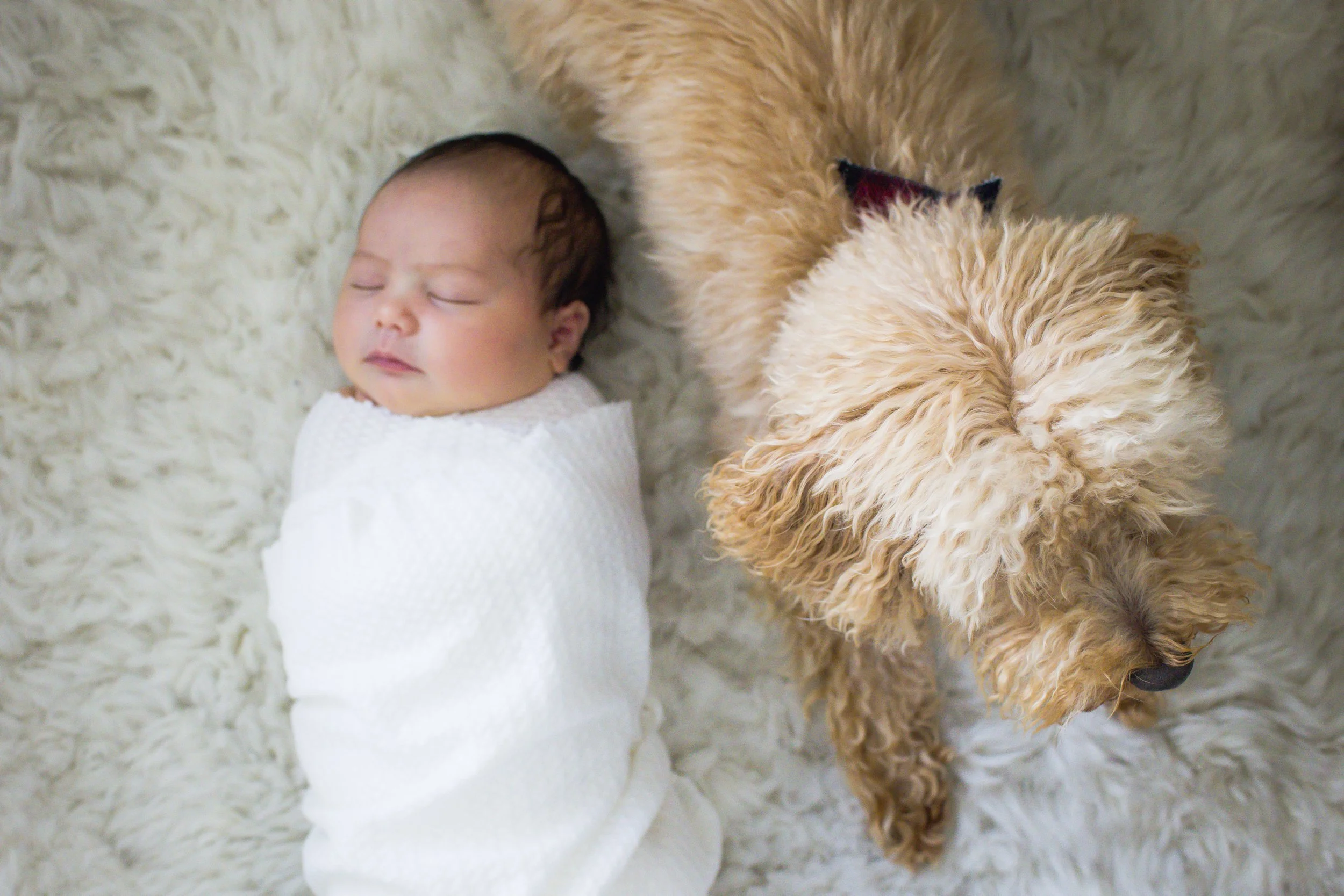 18-Safira Newborn-94.JPG