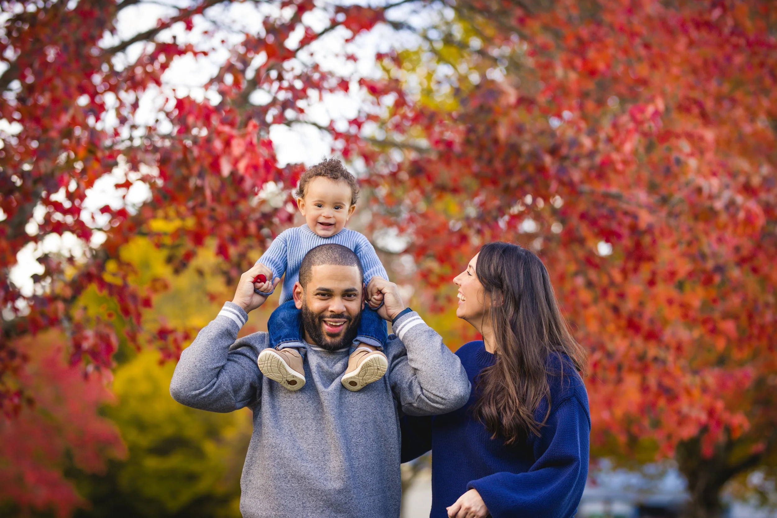 05-Isaiah_One_Year 2025-29.JPG