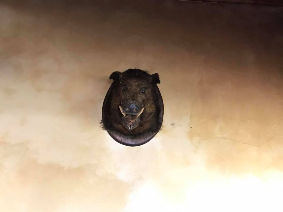 Locals are mostly friendly!!