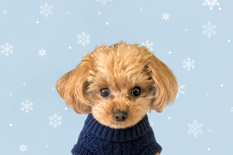 January 2026 The Inside Scoop with Luna