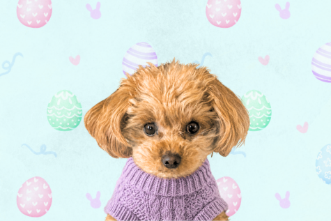 April 2026 The Inside Scoop with Luna