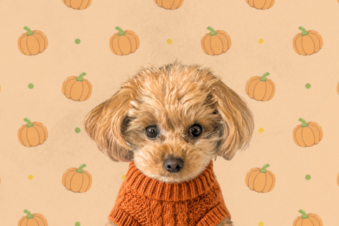 October 2026 The Inside Scoop with Luna