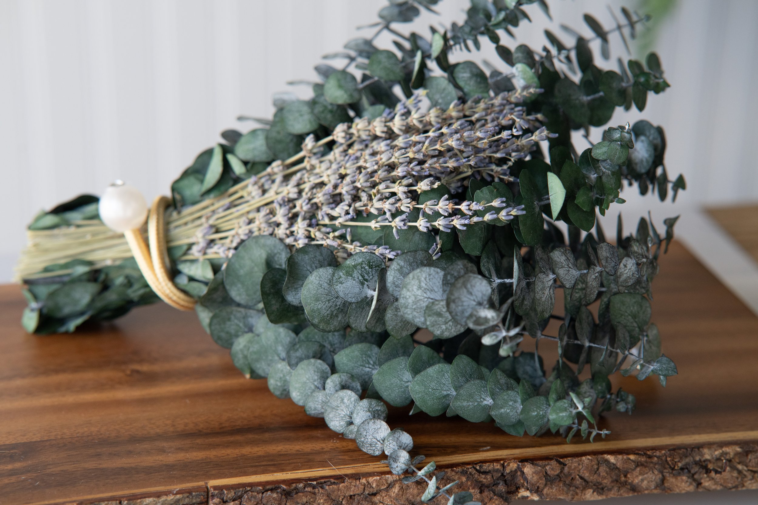 A dried eucalyptus branch with round, muted green leaves against a plain beige background.