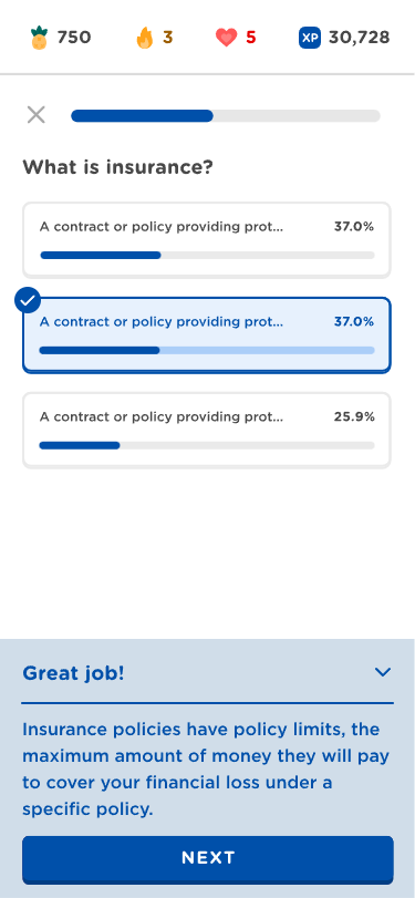 Quiz result screen showing a correct answer for "What is insurance?". A "Great job!" panel explains that insurance policies have limits to cover financial loss. Includes a "Next" button.