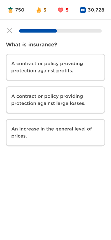 Quiz question: "What is insurance?" with options describing protection against profits, protection against large losses, or an increase in price levels. Progress bar is at the top.