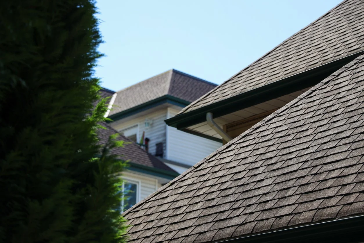 slope roof image