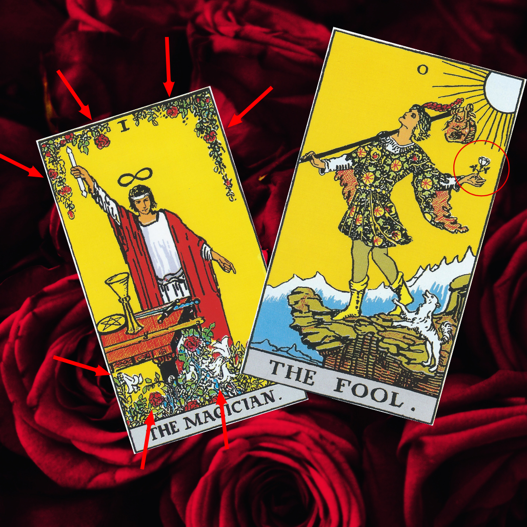 Tarot Symbolism: The Rose (&amp; Lily)