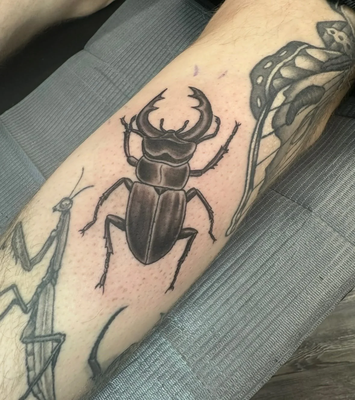 Black ink tattoo of a stag beetle on a person's arm.