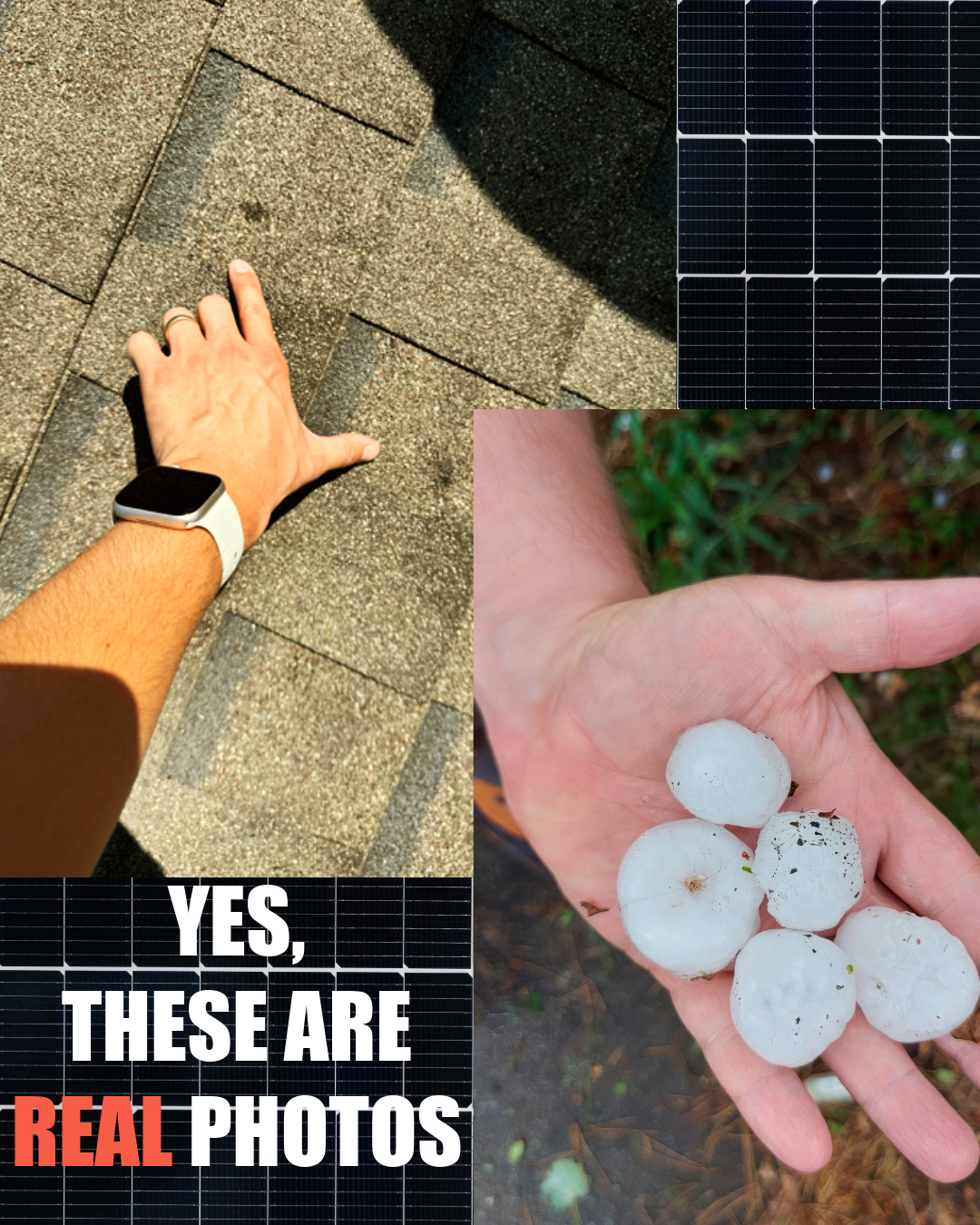 Fortified Roofworx — Photo collage with a person’s hand on a concrete walkway, a solar panel, and a hand holding mushrooms, with a caption stating "Yes, these are real photos".