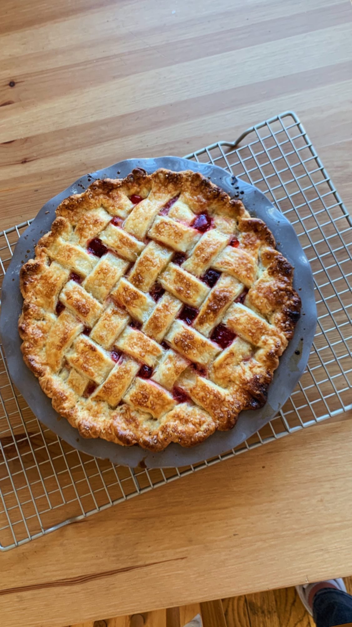 B7FAD0B4-19A7-4F24-A9EA-955B3B3343B1 (1).jpeg