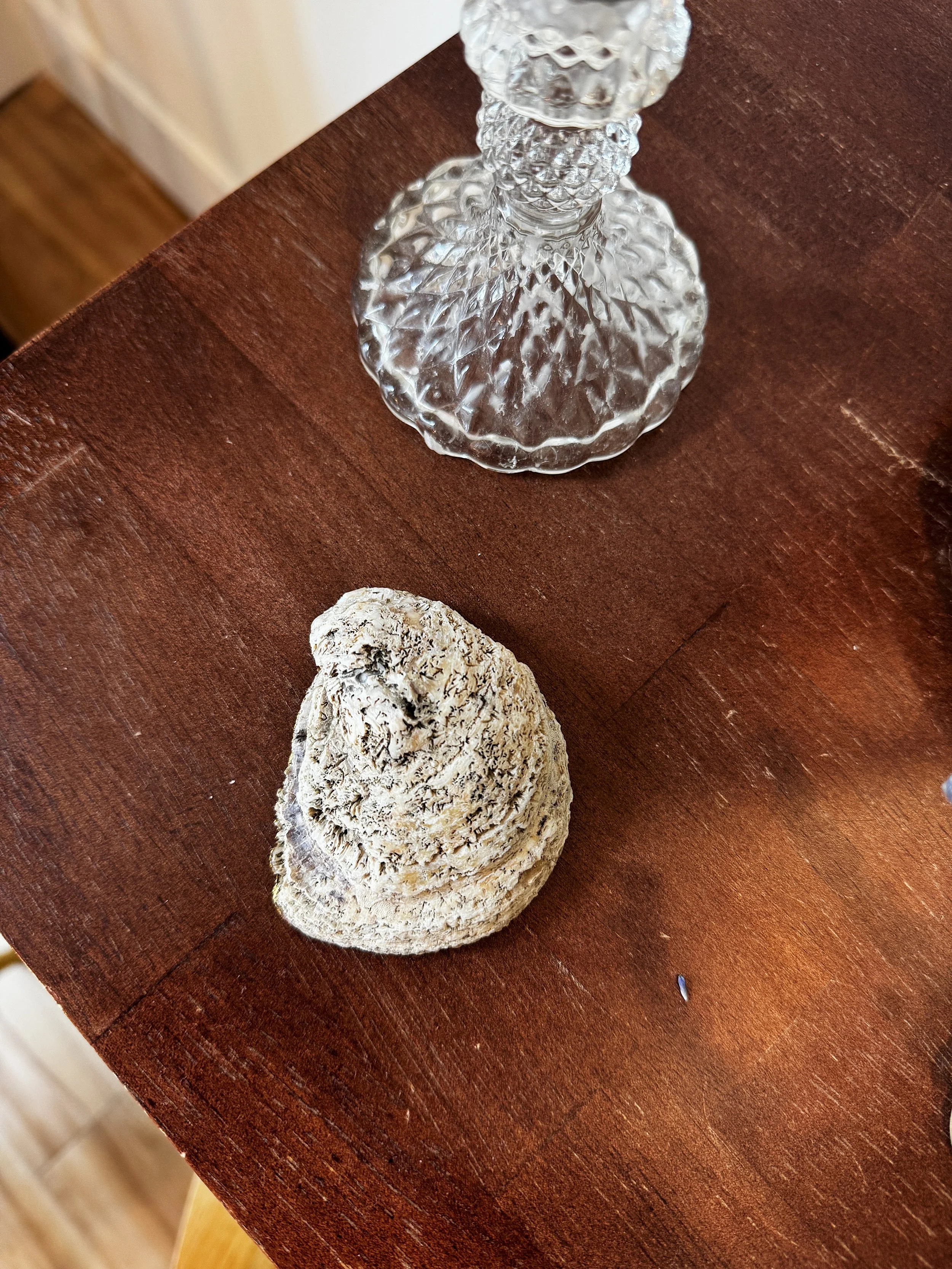 IMG_5048_VSCO.jpeg (Copy)