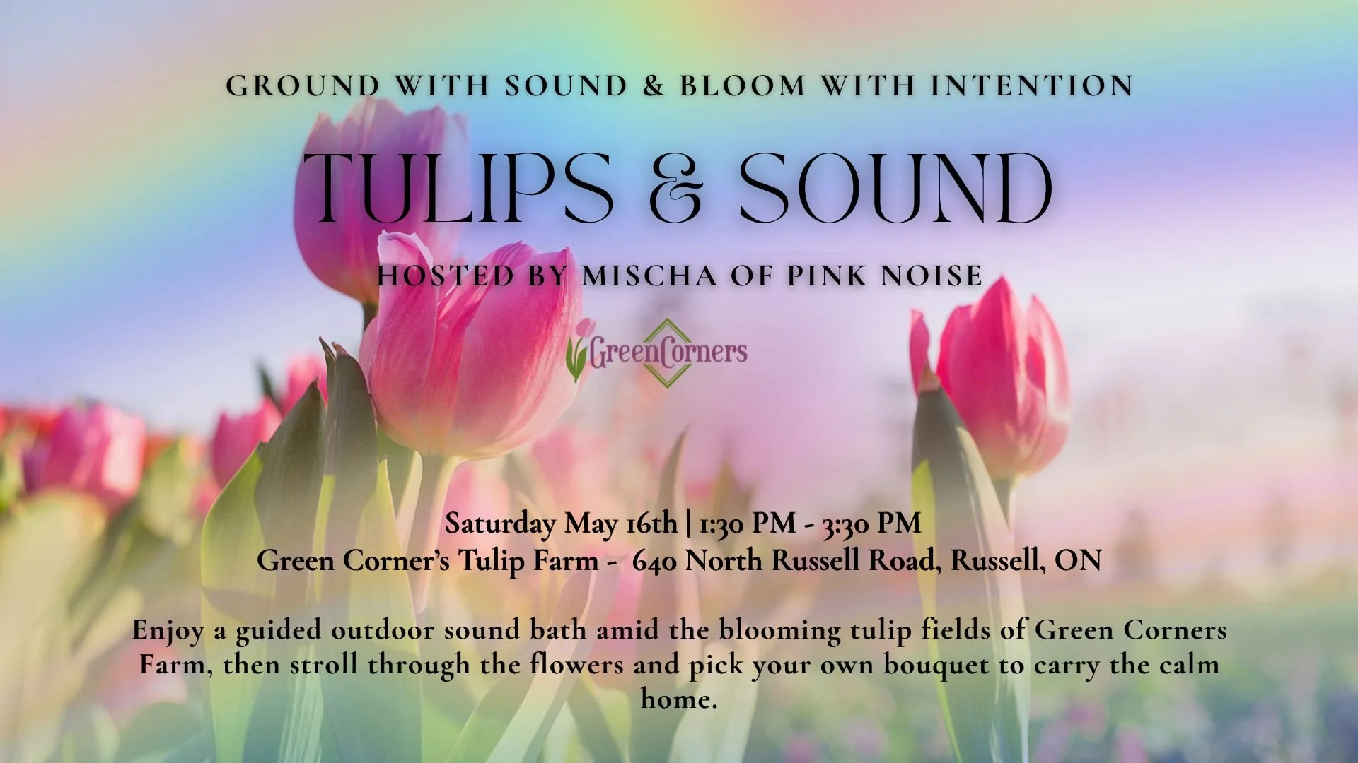 Tulips & Sound