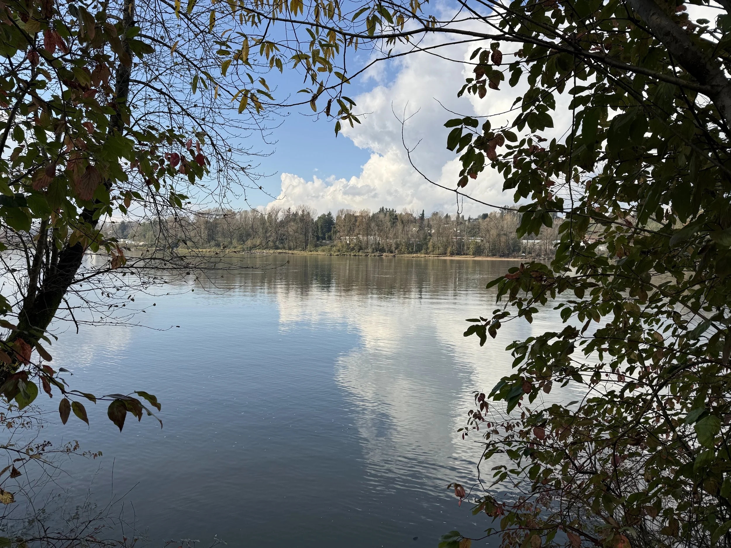 Dewdney Regional Park to Matsqui Trail Regional Park